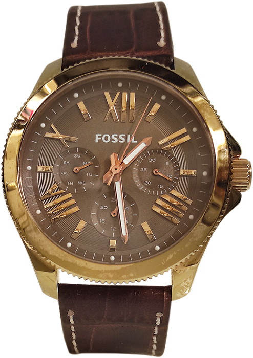 Fossil Women's Cecile Multifunction AM4533
