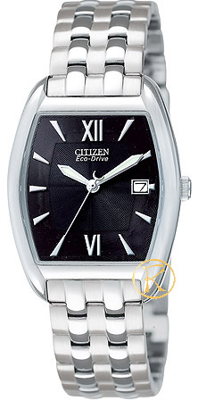 Citizen Eco Drive Stainless Steel Watch EW1190-54E