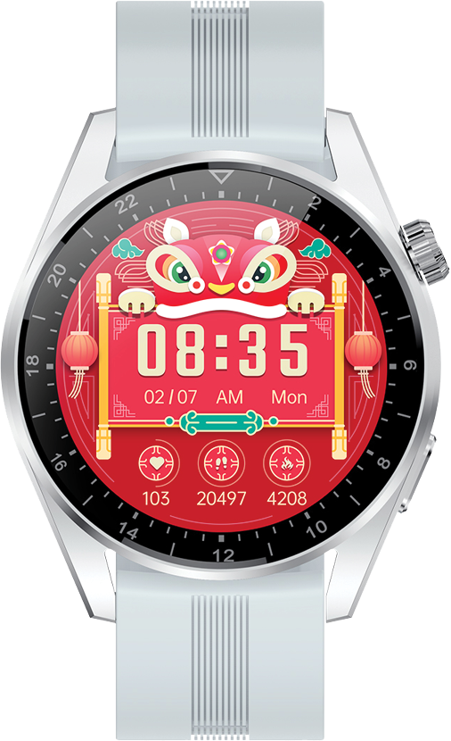 DAS.4 SG48 Smartwatch Silver Silicone Strap 203050282