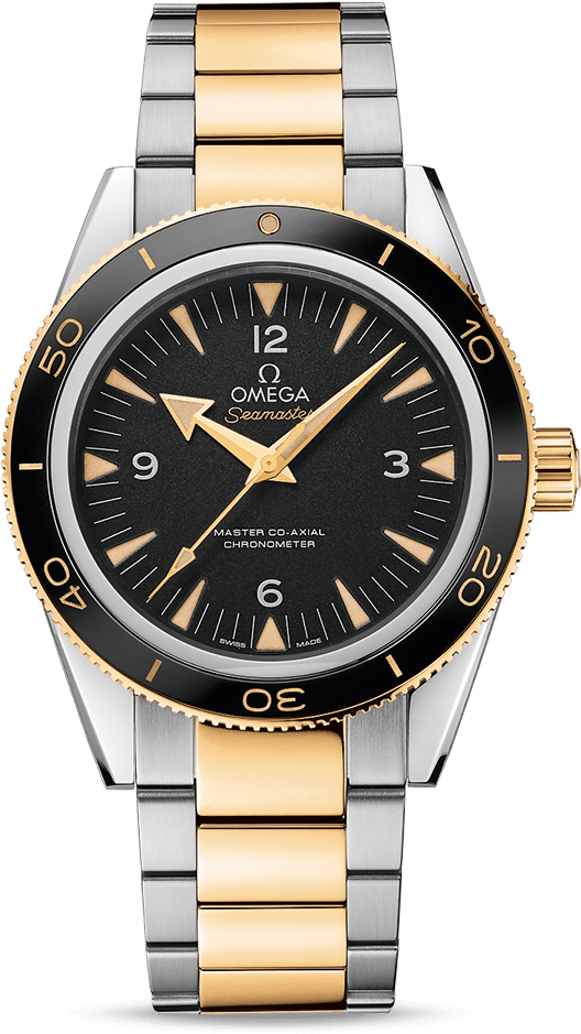 Omega Seamaster 300 233.20.41.21.01.002