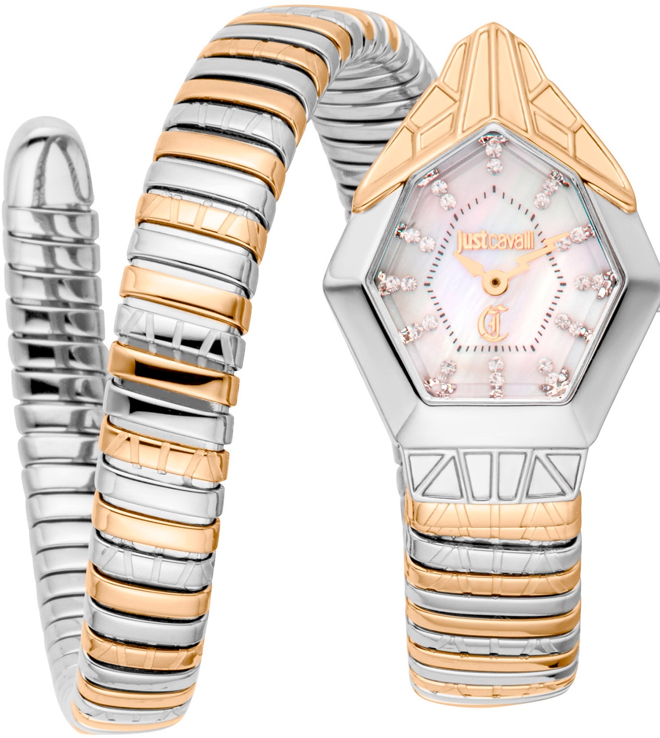 Just Cavalli Signature Snake JC1L358M0065