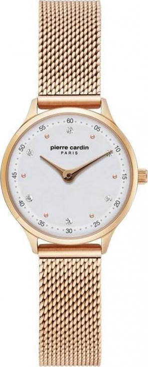 Pierre Cardin PC902682F303