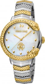 Roberto Cavalli by Franck Muller Silver RV1L113M0081