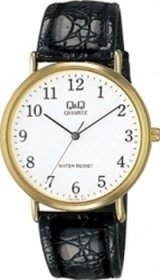 Q&Q Black Leather Strap V720J104Y