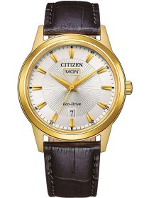 Citizen Eco Drive AW0102-13A