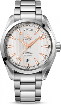Omega Seamaster Aqua Terra 231.10.42.22.02.001