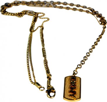 Κολιέ DKNY code GK1005a