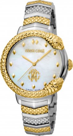 Roberto Cavalli by Franck Muller Silver RV1L113M0081