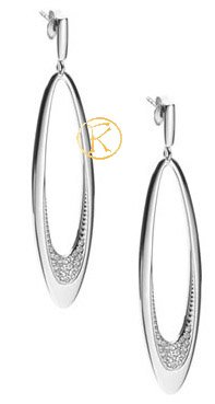 Earrings DKNY NJ1025040