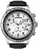 Timex Expedition Military T49824
