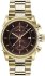 Versace Urban Brown/Gold VEV400619