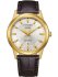 Citizen Eco Drive AW0102-13A