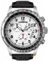 Timex Expedition Military T49824