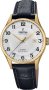 Festina F20010/1