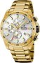 Festina Chrono Sport F20541/1