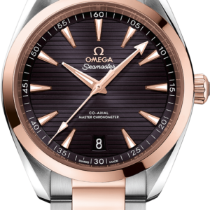 Omega Seamaster Aqua Terra 220.20.41.21.06.001