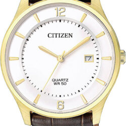 Citizen Brown Leather Strap BD0043-08B