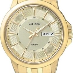 Citizen Stainless Steel Bracelet BF2013-56P