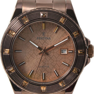 Festina Brown Stainless Steel Bracelet F16803/1
