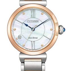 Citizen Eco-Drive L Elegance Ladies EM1074-82D
