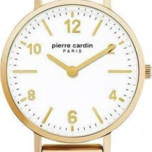Pierre Cardin PC902662F19